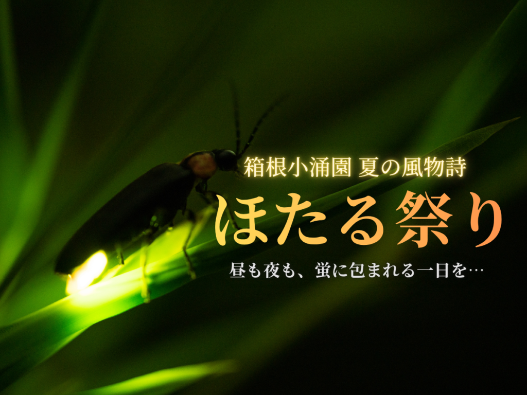 アクティビティ画像
