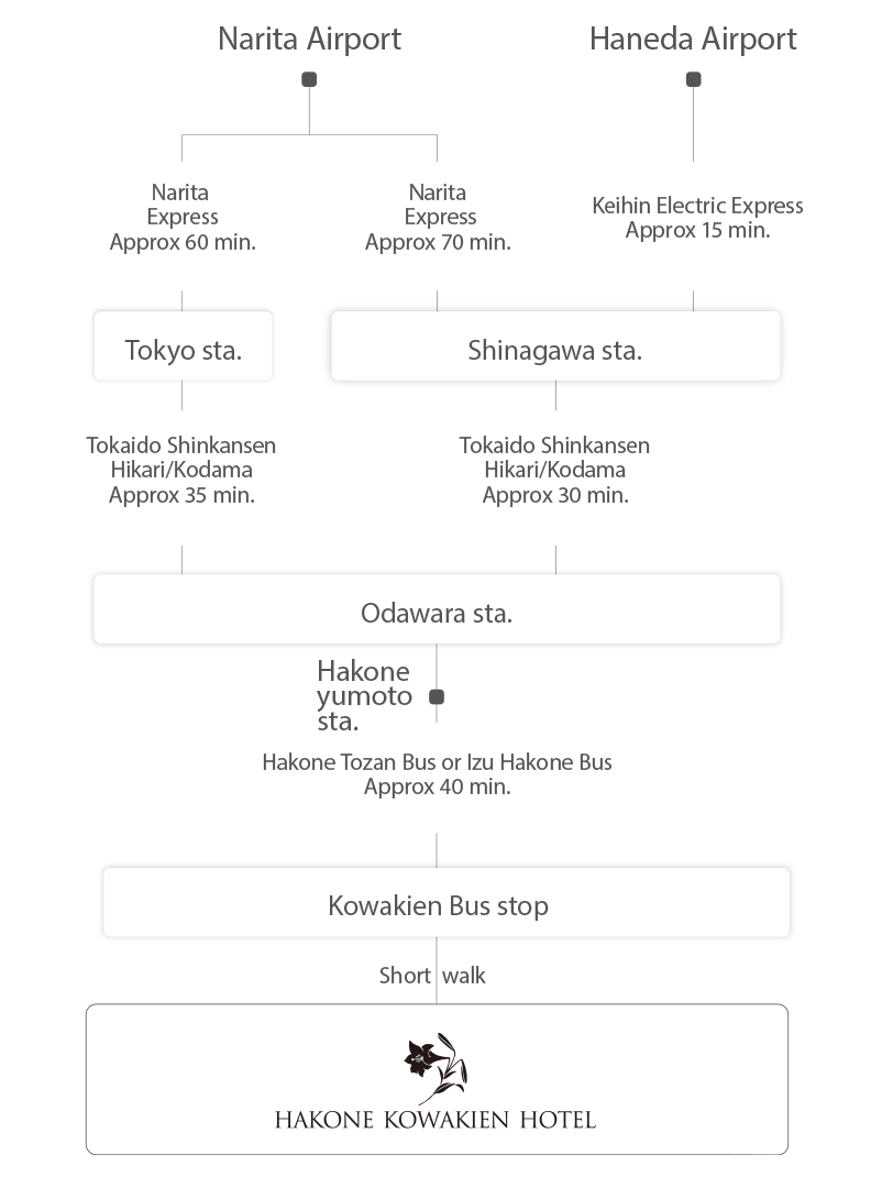 Air access chart