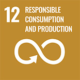 12  RESPONSIBLE CONSUMPTION AND PRODUCTION