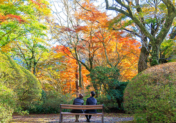 紅葉狩りの画像